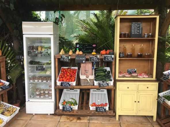 BOTANEA NOUMEA NC