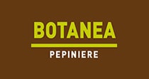 Botanea_Pepiniere