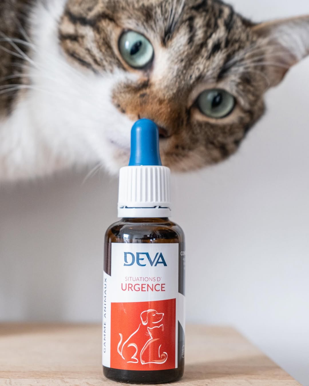 DEVA PROLINEA NOUMEA