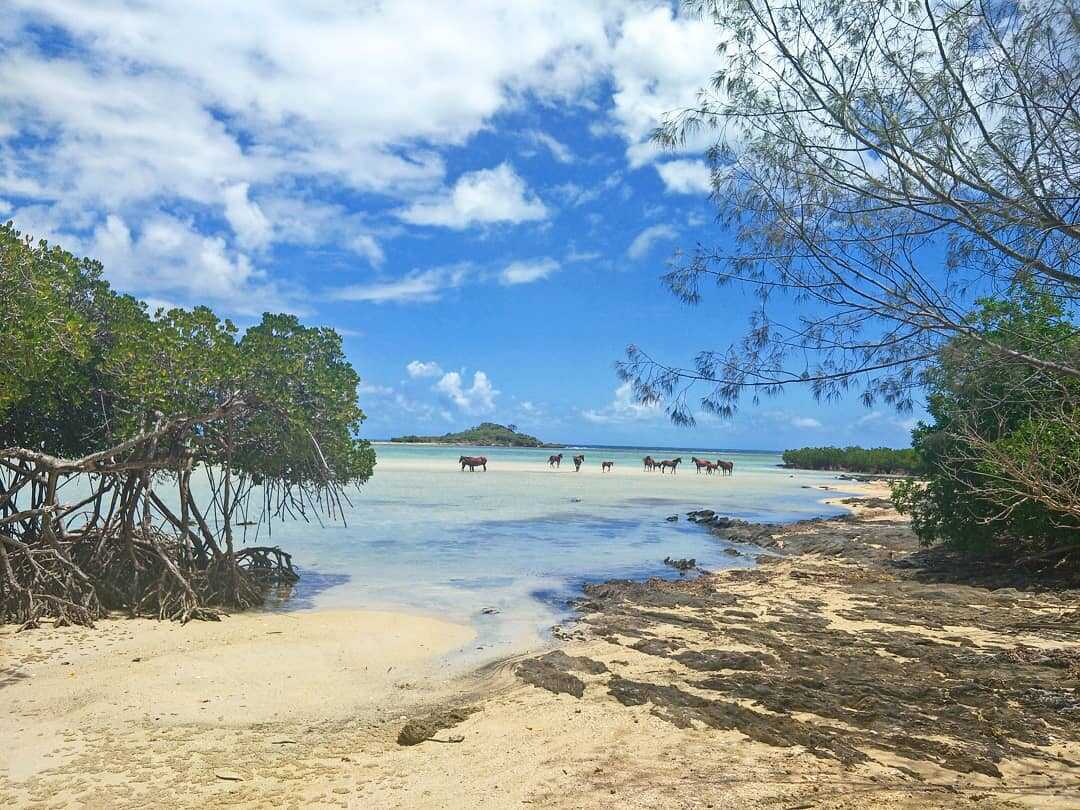 HOTEL MALABOU PLAGE AVEC CHEVAUX