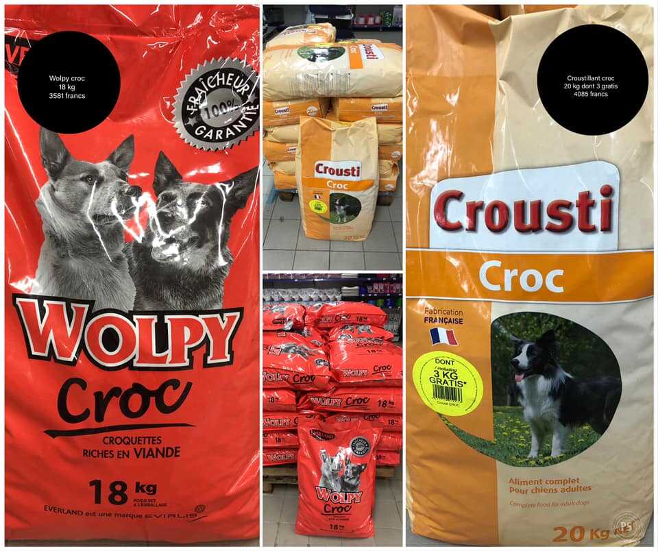 LES BRICONAUTES NOUMEA CROQUETTES CHIENS