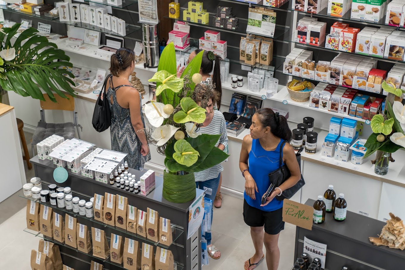 Prolinea intérieur noumea