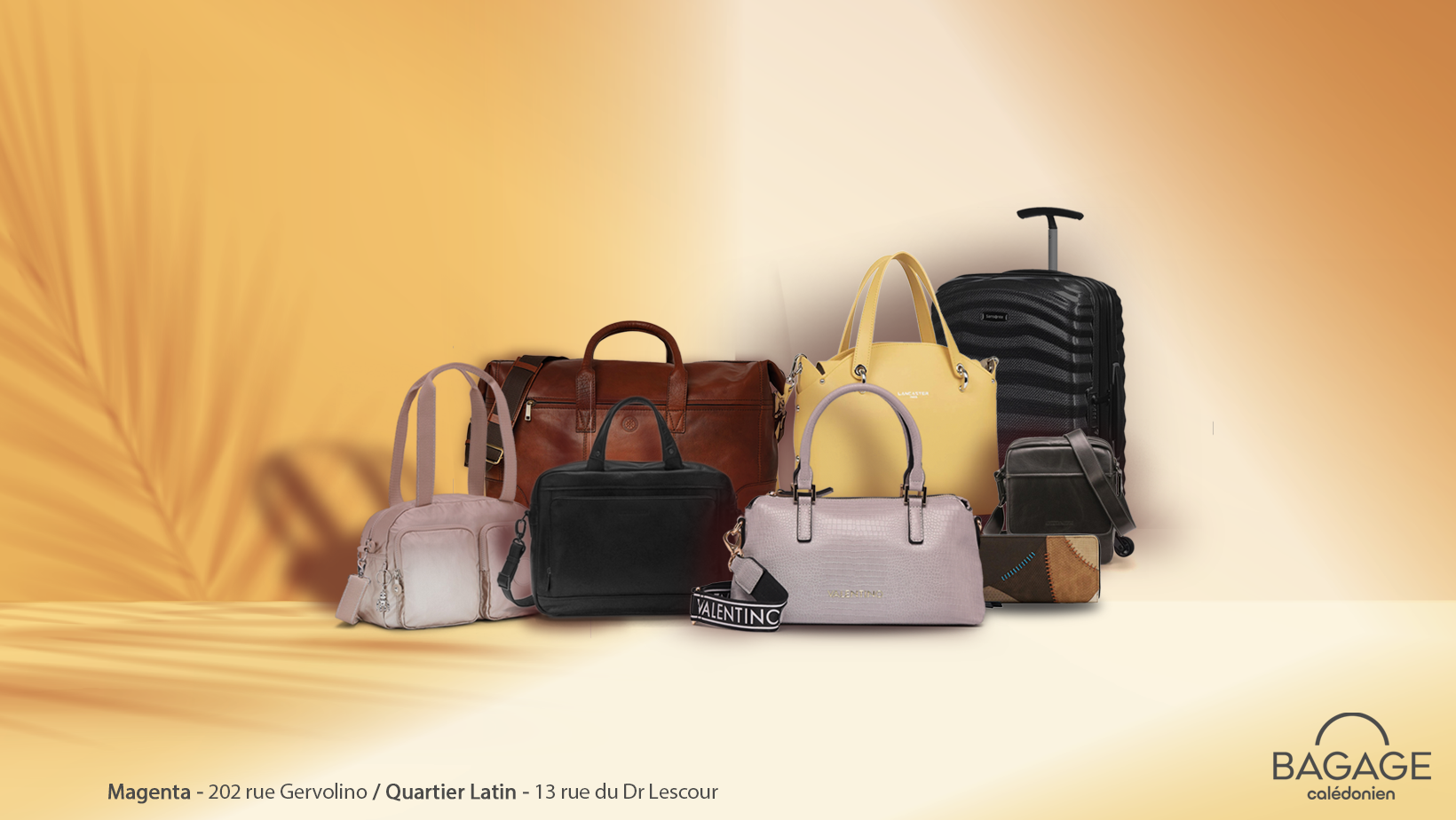 SACS A MAIN ET VALISES BAGAGE CALEDONIEN NOUMEA