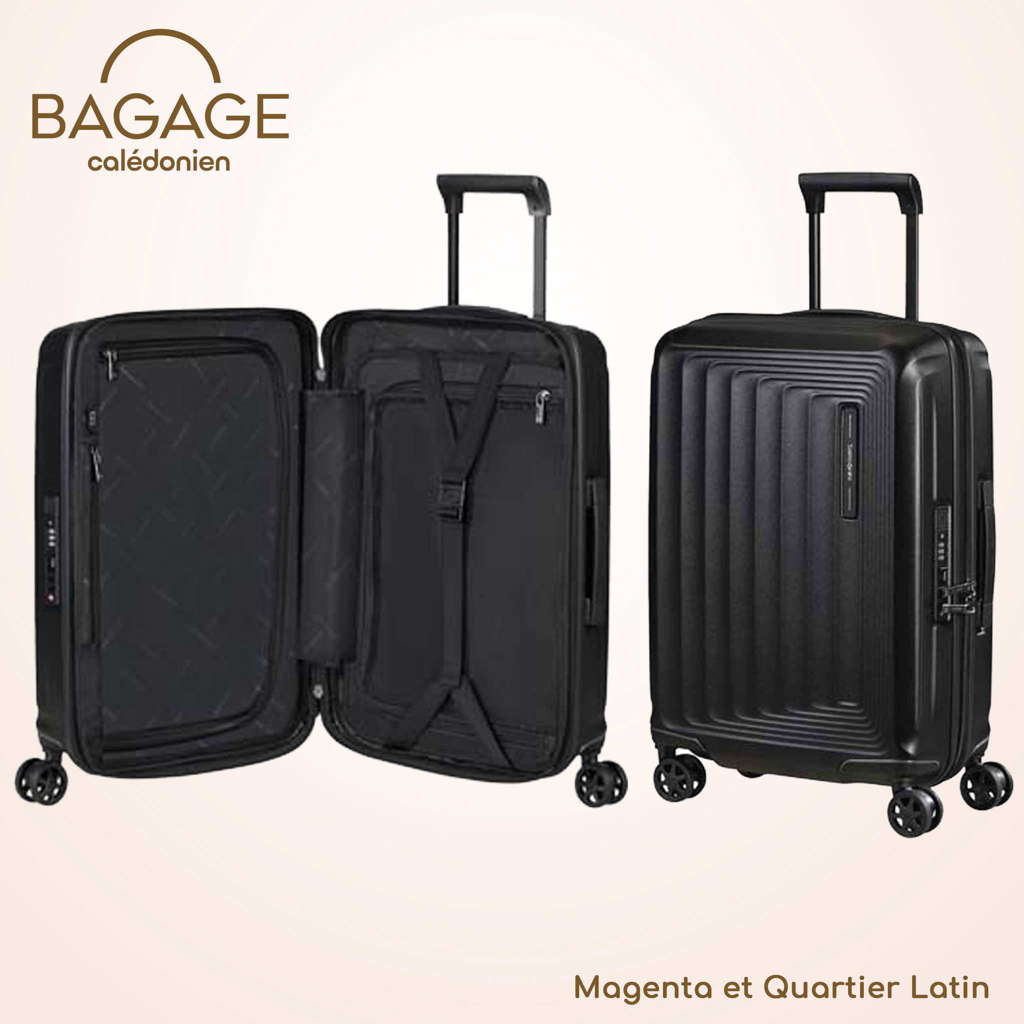 VALISES BAGAGE CALEDONIEN NOUMEA